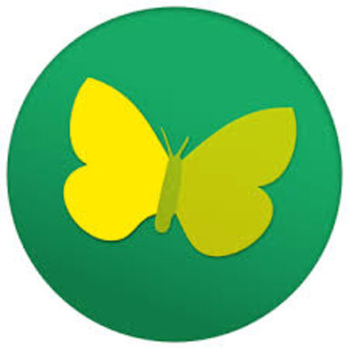 téléchargement (1).jpeg