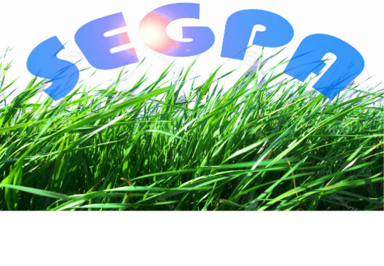 logo SEGPA.jpg